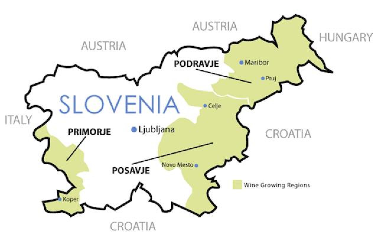 Primerna lega rebule v Sloveniji